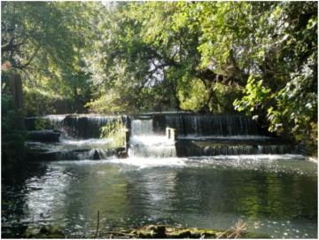 Durfold Weir