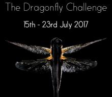 British Dragonfly Week British Dragonfly Week
