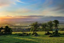 Image by John Dominick http://www.photographersussex.com/ Image by John Dominick http://www.photographersussex.com/